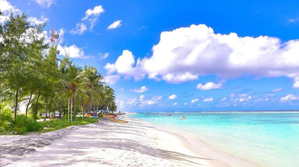 Eleven Trees Maldives Hotel ฮุลฮูมาเล ภายนอก รูปภาพ